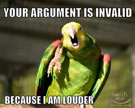 parrot meme images.